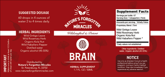 NFM's BRAIN - Tone and Stimulate the Brain